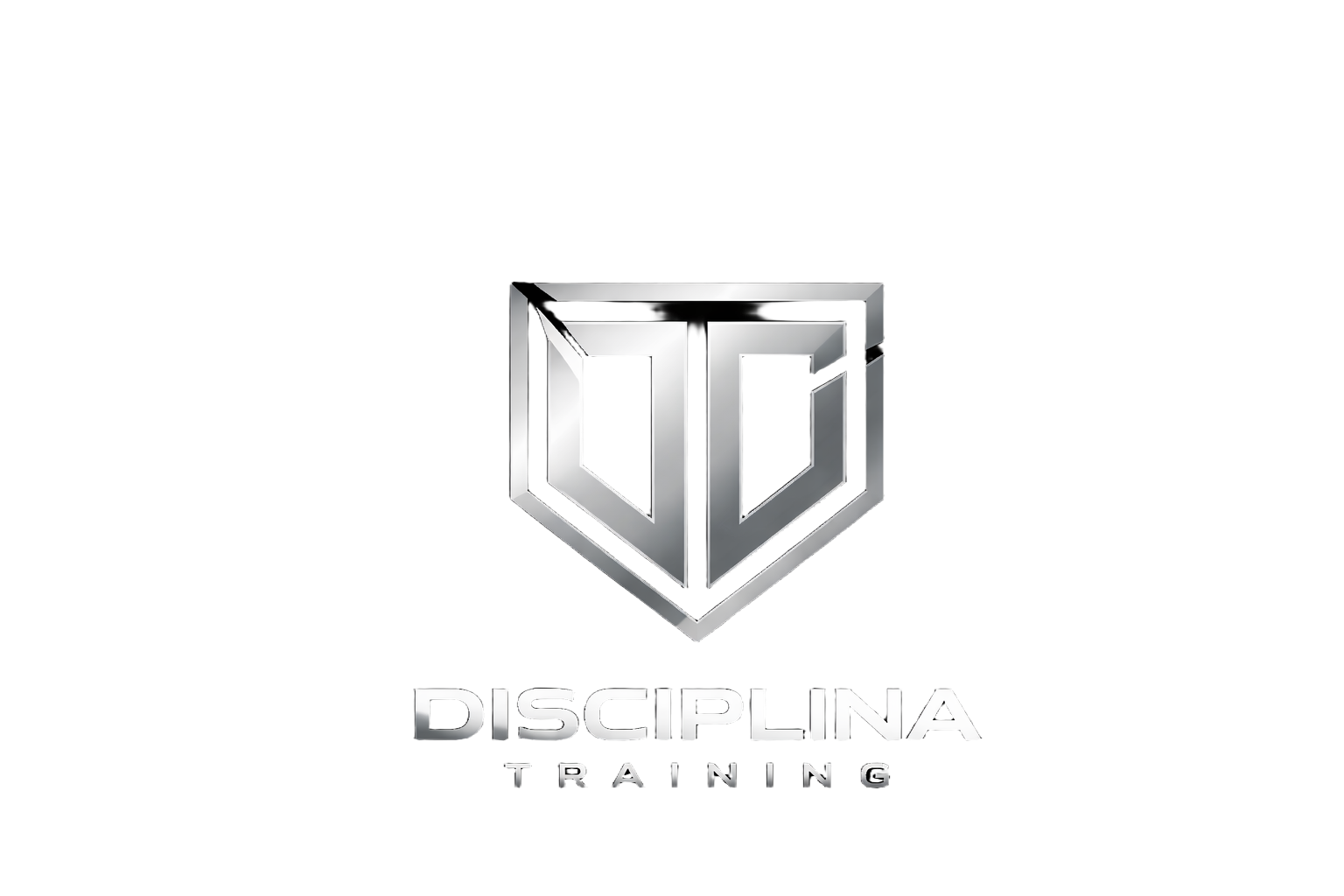 DISCIPLINA TRAINING