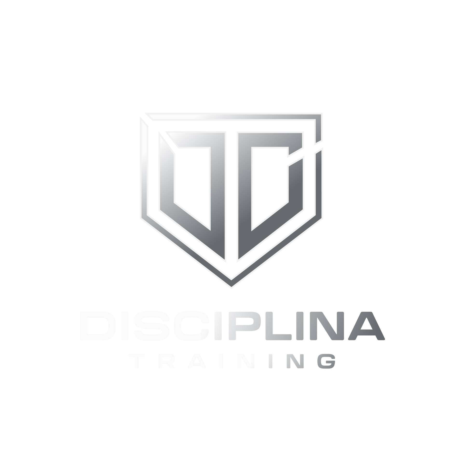 DISCIPLINA TRAINING
